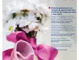 N El Nidito 41