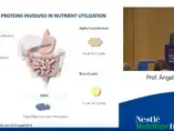 Ponencia del Prof Ángel Gil - XXVII Congreso SENeo 2019 (videos)