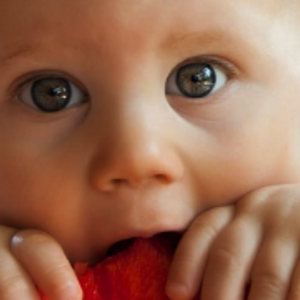 Nutrición a partir de los 6 meses: Aprendiendo de los expertos - NNI Newsletter 1/2019 (publications)