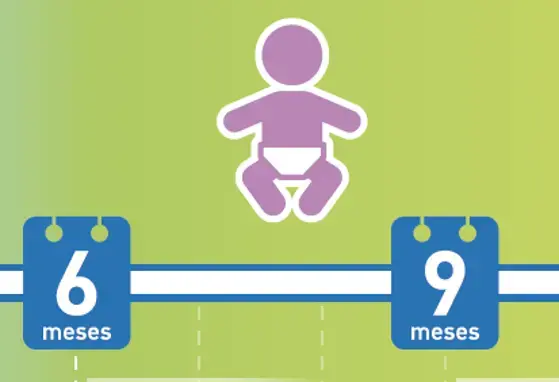 Introducción a la alimentación complementaria (infographics)