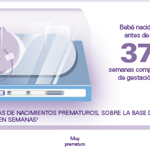 Necesidades especiales en el cuidado del prematuro (infographics)