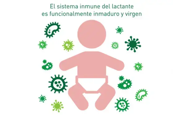 Beneficios de los oligosacáridos de la leche materna en la inmunidad (infographics)