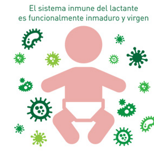 Beneficios de los oligosacáridos de la leche materna en la inmunidad (infographics)