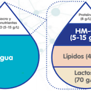 Oligosacáridos de la leche humana (infographics)