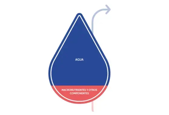 La leche materna: el patrón de oro (infographics)