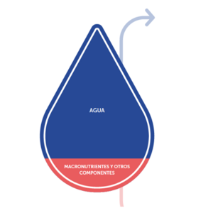 La leche materna: el patrón de oro (infographics)
