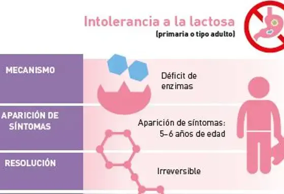 Intolerancia a la lactosa (infographics)