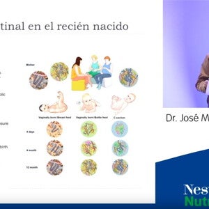 Ponencia Dr. José Manuel Moreno Villares - XXVI Congreso de la SEGHNP (videos)