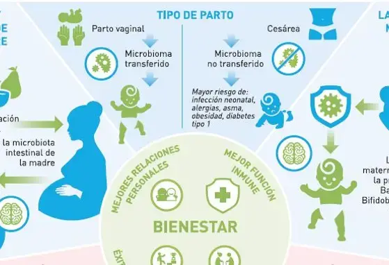 Factores que contribuyen al bienestar infantil en los primeros años de vida (infographics)