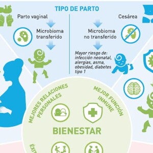 Factores que contribuyen al bienestar infantil en los primeros años de vida (infographics)