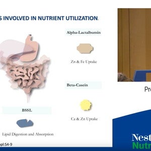 Ponencia del Prof Ángel Gil - XXVII Congreso SENeo 2019 (videos)