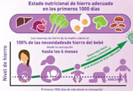 Satisfacer las necesidades de hierro de los niños (infographics)