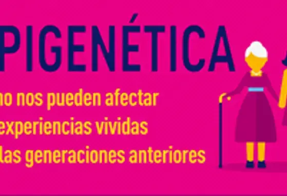 Epigenética (infographics)