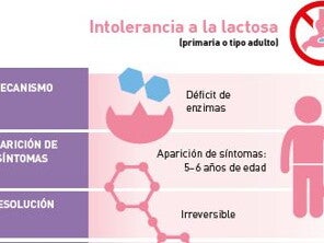 Intolerancia a la lactosa (infographics)