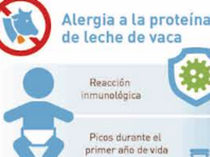 La alergia a la proteína de la la leche de vaca vs la intolerancia a la lactosa (infographics)
