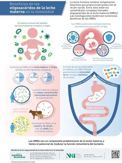 Beneficios de los oligosacáridos de la leche materna en la inmunidad (infographics)