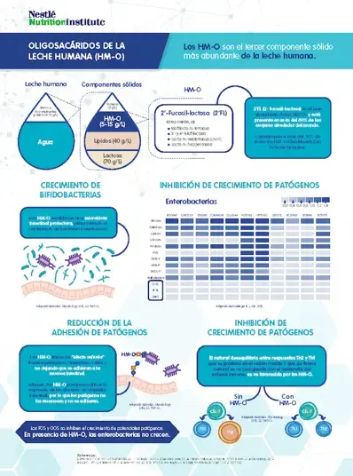 Oligosacáridos de la leche humana (infographics) Oligosacáridos de la leche humana (infographics)