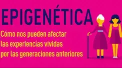 Epigenética (infographics) Epigenética (infographics)