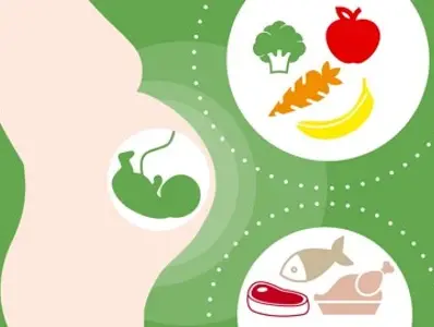 Módulo 11 – ETAPAS DE VIDA ESPECÍFICAS Módulo 11 – ETAPAS DE VIDA ESPECÍFICAS