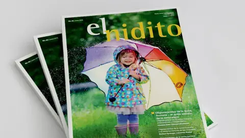El Nidito (publication series)